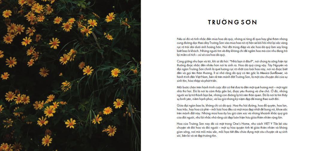 Khám Phá Catalogue Gạch Việt Ý VY2 One’s HOME: Tuyệt Tác Đá & Thiên Nhiên