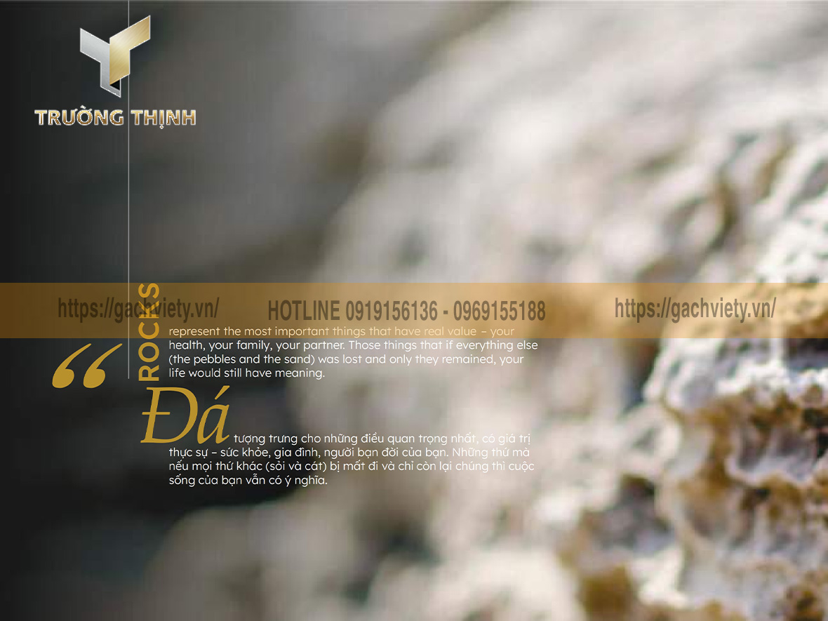 Catalogue gạch Việt Ý bộ sưu tập VY1