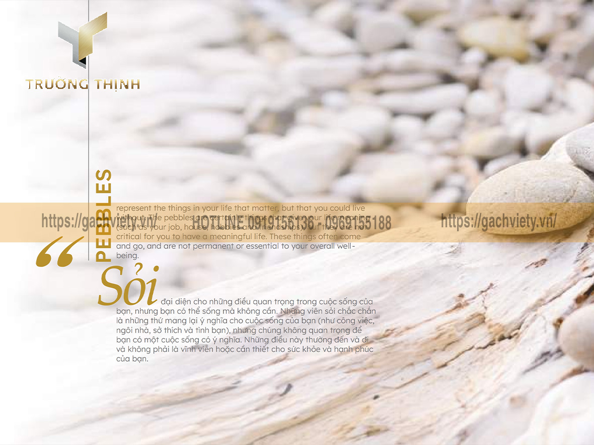 Catalogue gạch Việt Ý bộ sưu tập VY1