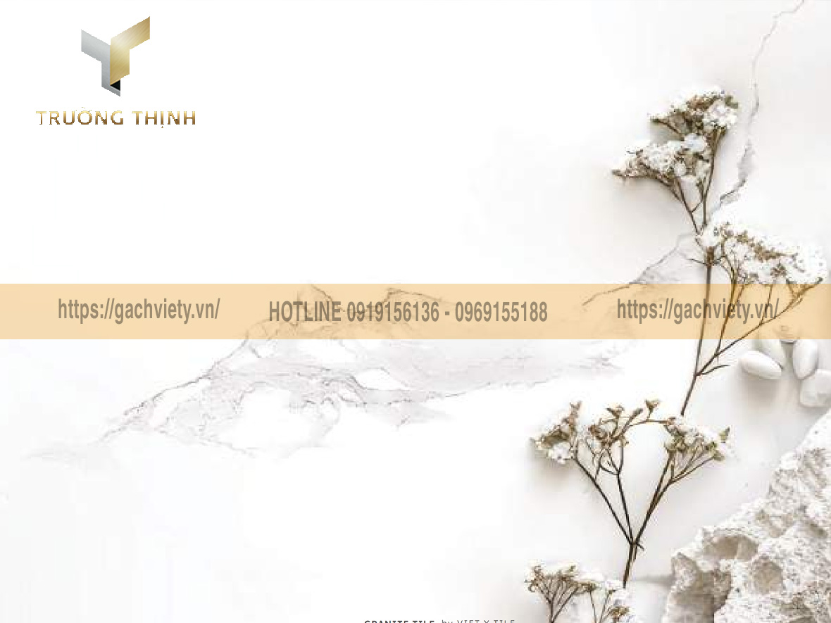 Trường Thịnh - Tổng đại lý phân phối gạch Việt Ý giá tốt cho công trình và dự án