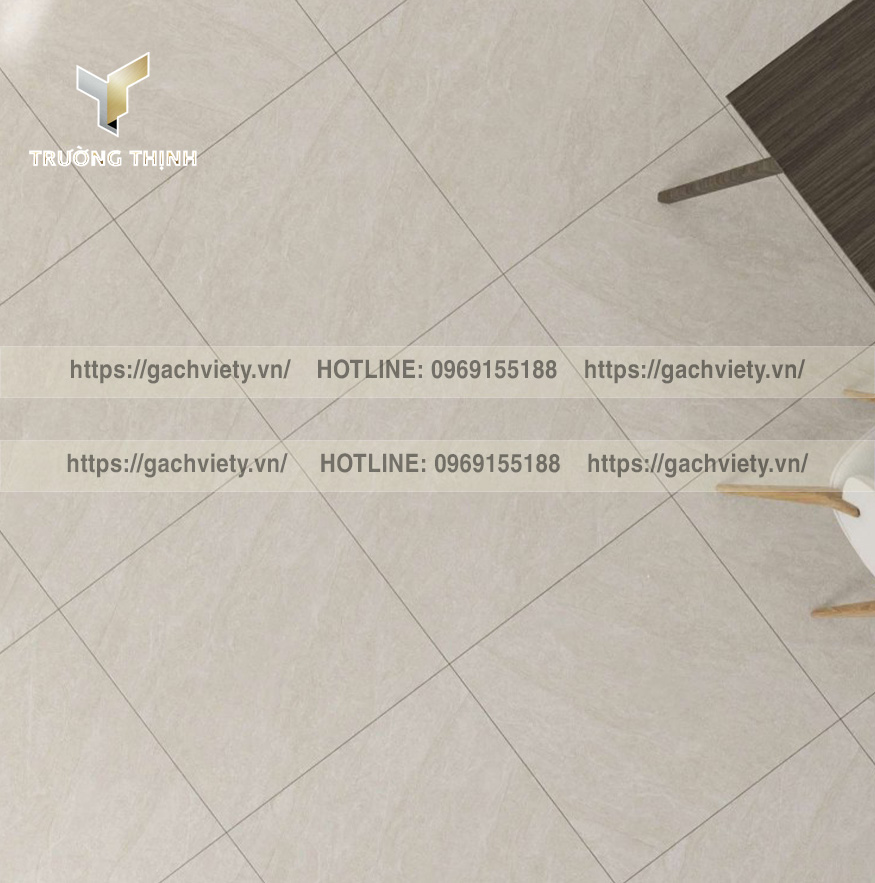 Chọn Gạch Lát Nền Phòng Khách Việt Ý: Tạo Dấu Ấn Cá Nhân – Trường Thịnh Group