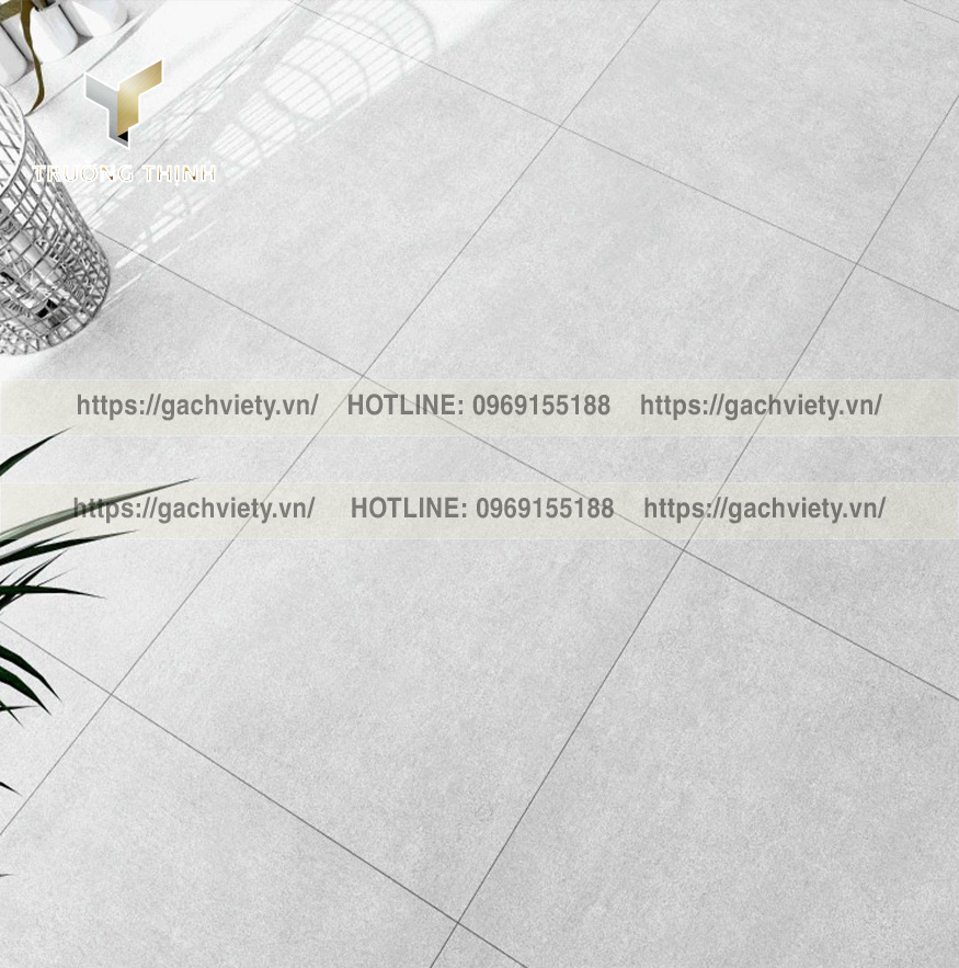 Chọn Gạch Lát Nền Phòng Khách Việt Ý: Tạo Dấu Ấn Cá Nhân – Trường Thịnh Group