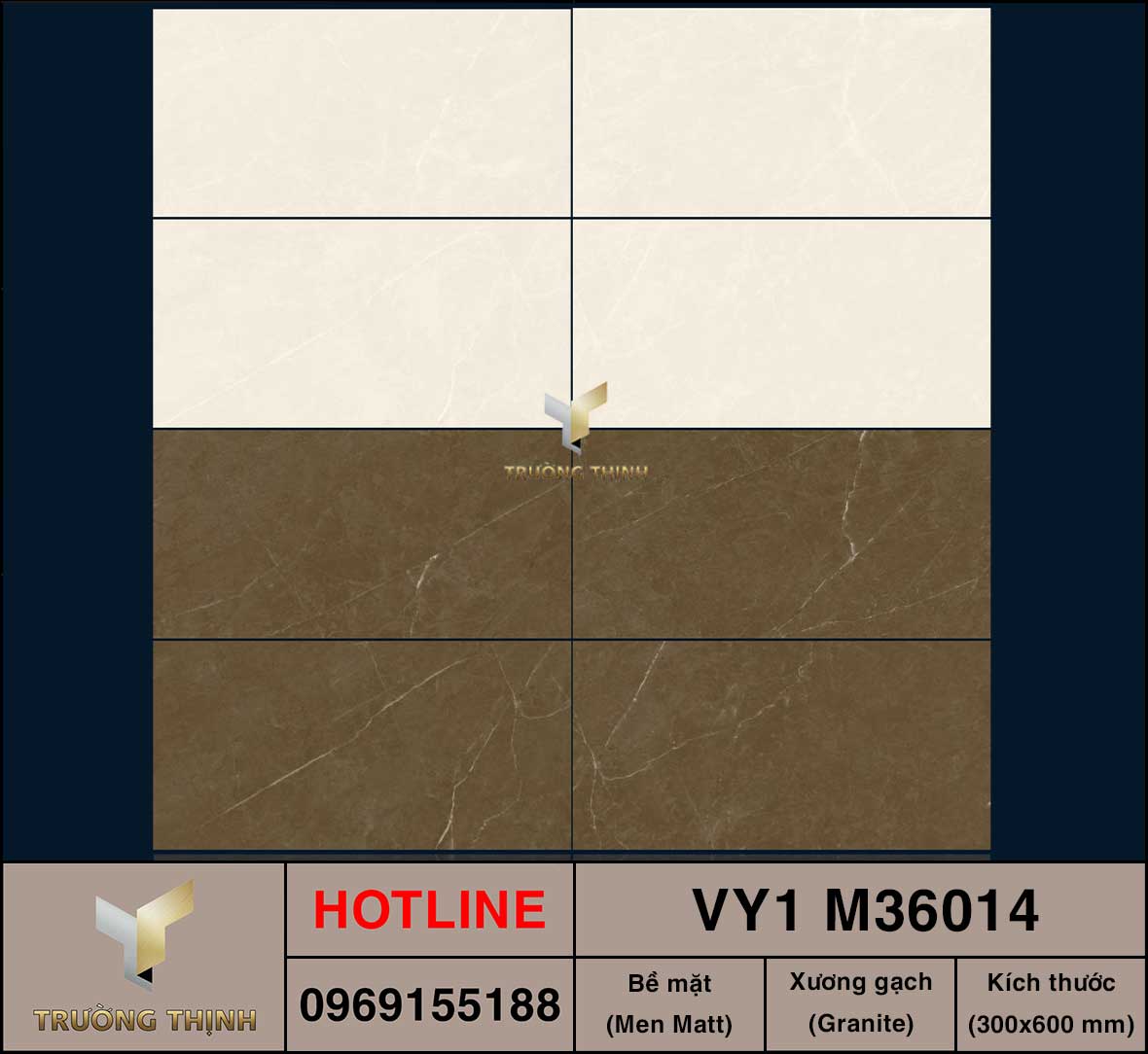Gạch ốp lát 300x600 Việt Ý VY1 M36014