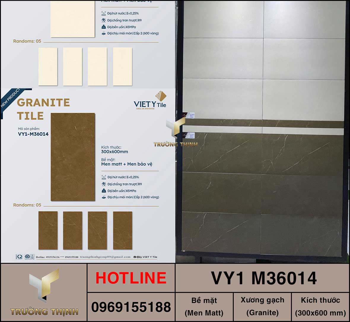 Gạch ốp tường 300x600 Việt Ý VY1 M36014