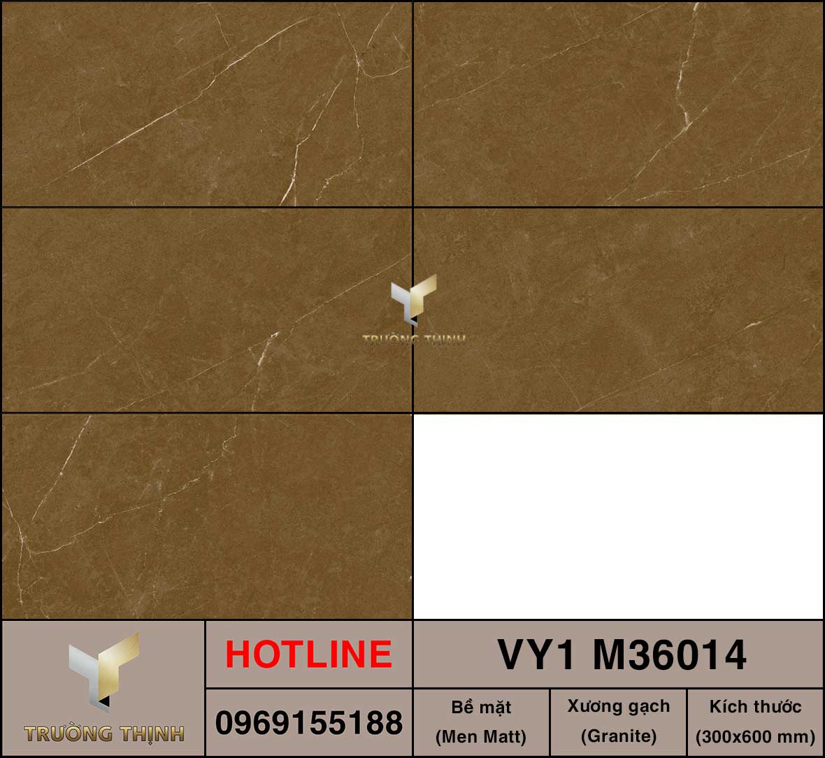 Gạch ốp lát 300x600 Việt Ý VY1 M36014