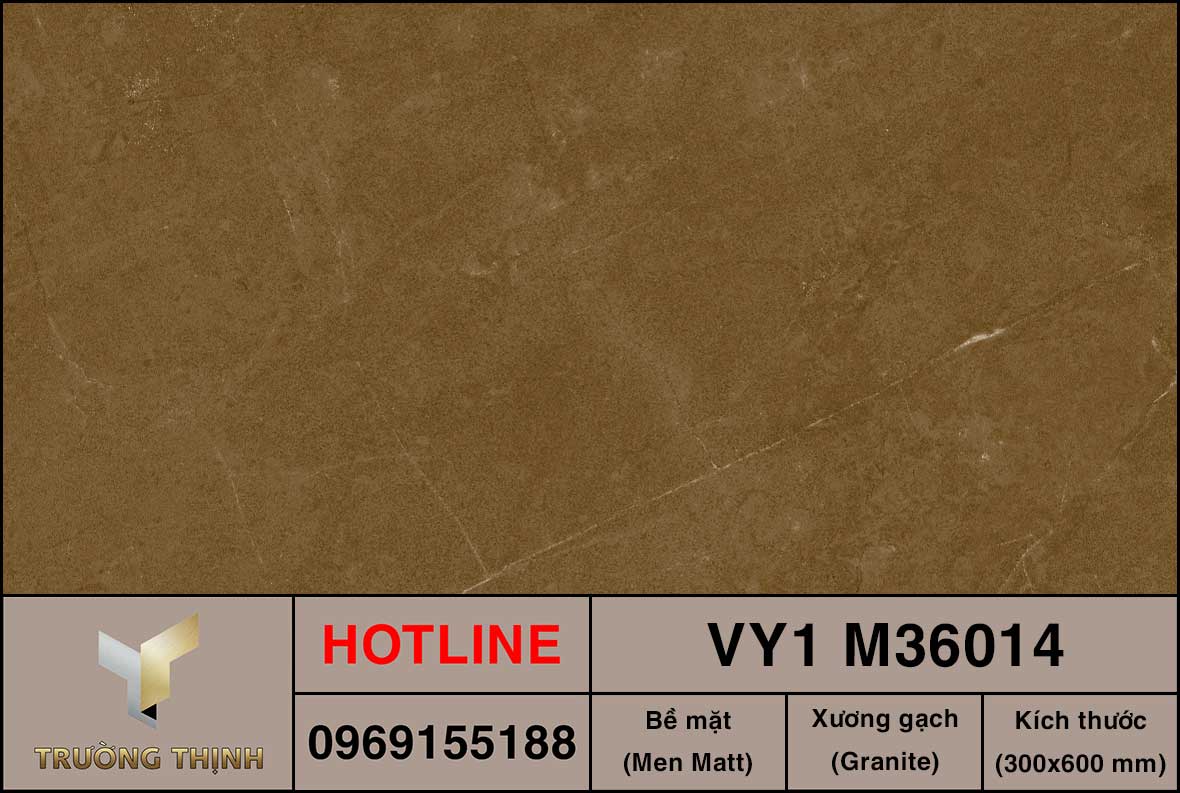 Gạch ốp lát 300x600 Việt Ý VY1 M36014