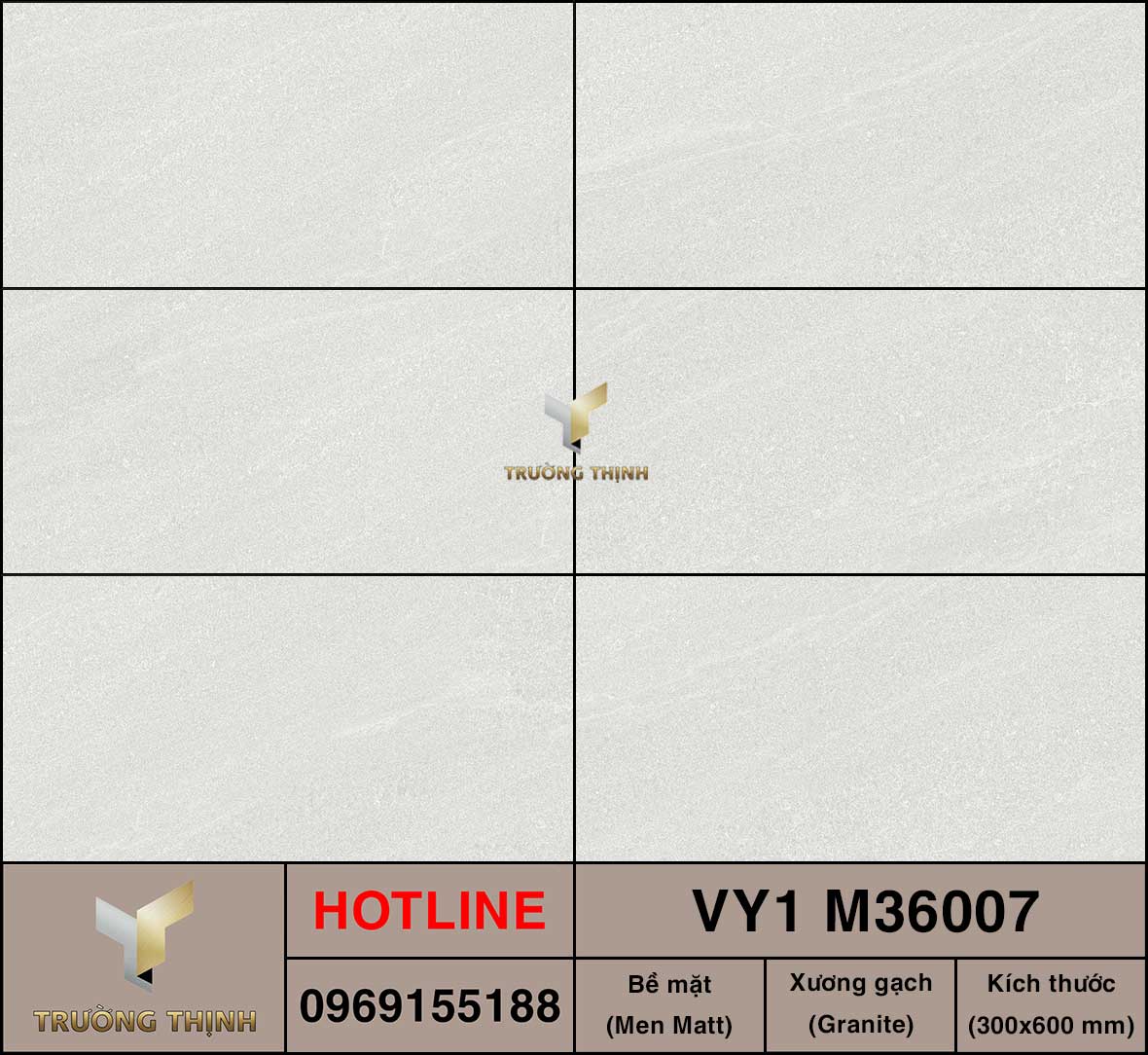 Gạch ốp lát 300x600 Việt Ý VY1 M36007