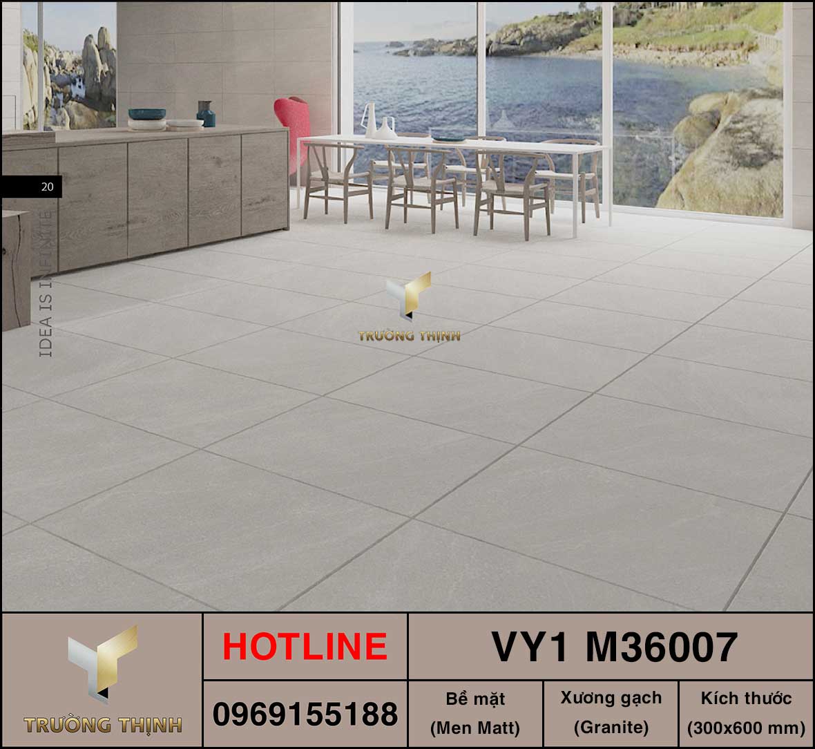 Gạch ốp lát 300x600 Việt Ý VY1 M36007