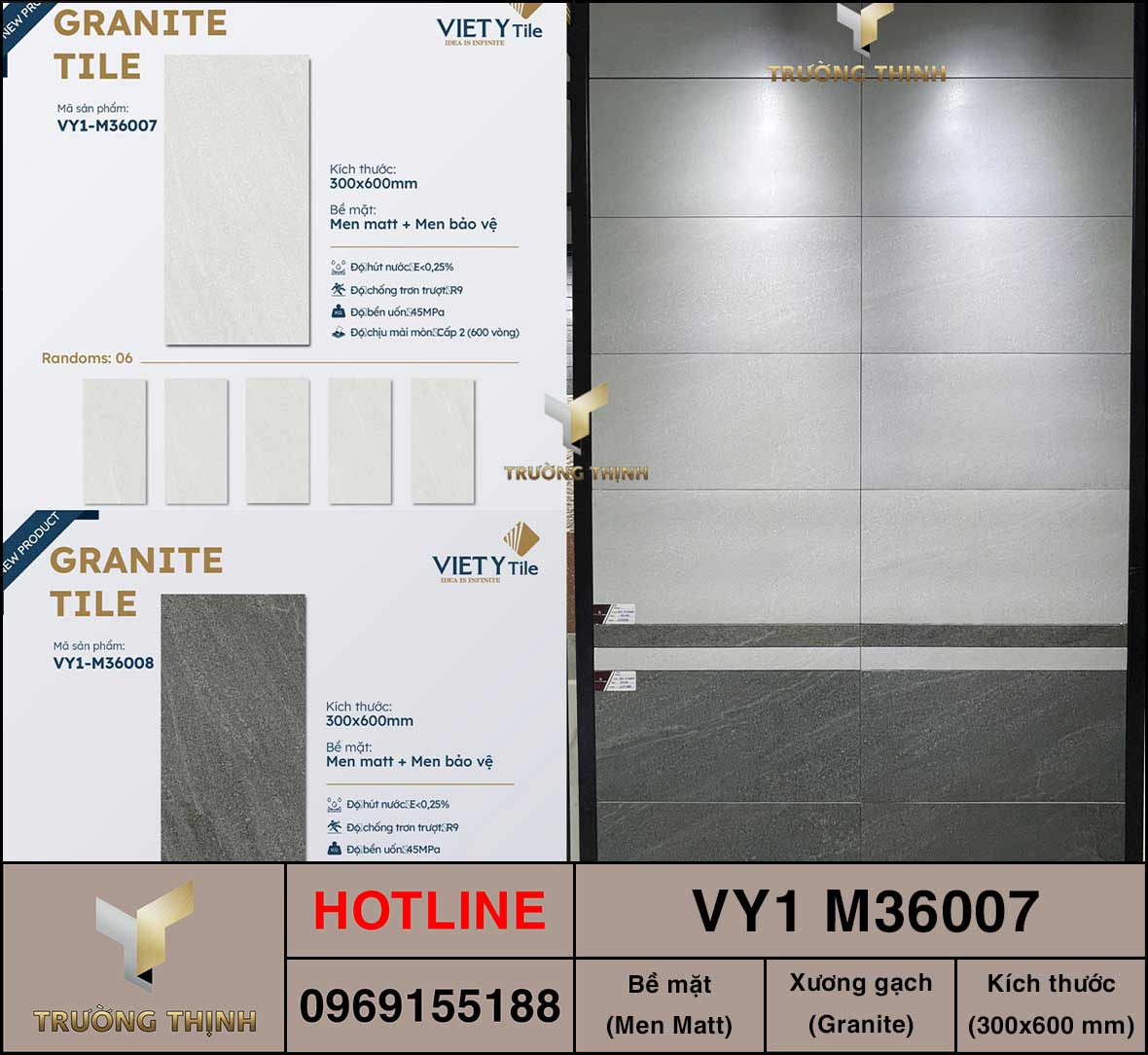 Gạch ốp lát 300x600 Việt Ý VY1 M36007
