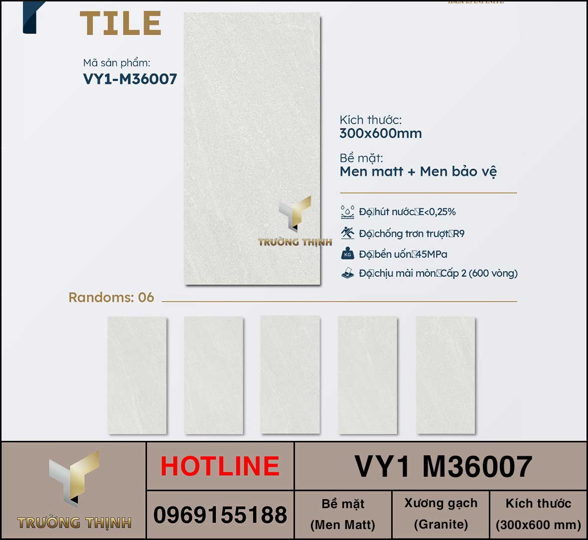 Gạch ốp lát 300x600 Việt Ý VY1 M360057