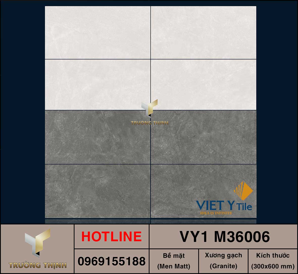 Gạch ốp lát 300x600 Việt Ý VY1 M36006