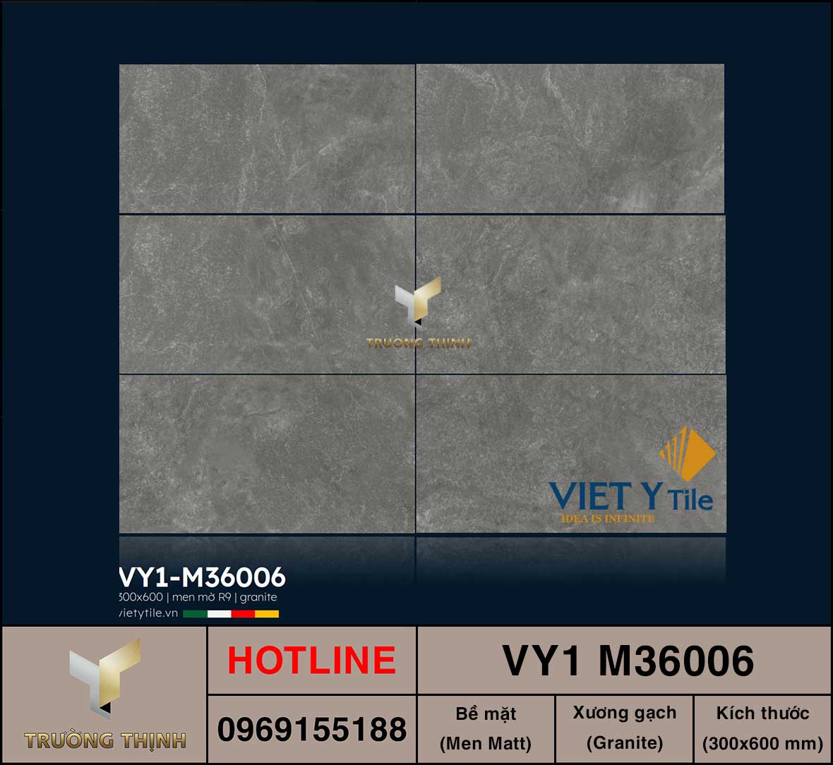 Gạch ốp lát 300x600 Việt Ý VY1 M36006