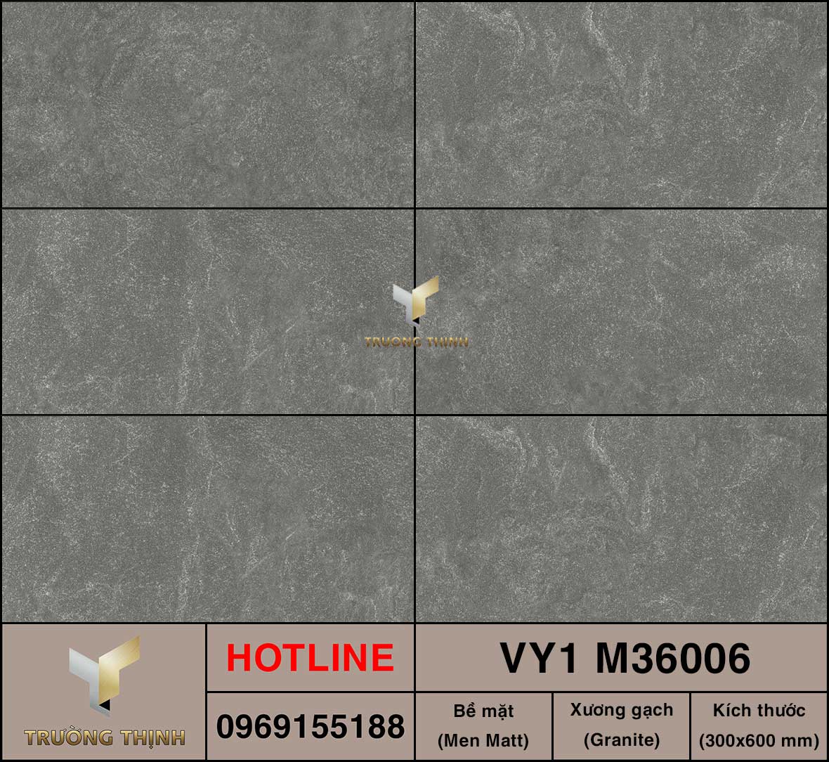 Gạch ốp lát 300x600 Việt Ý VY1 M36006