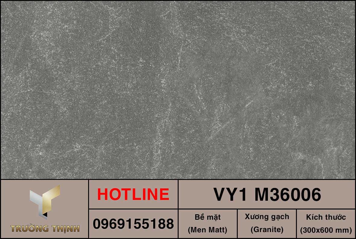 Gạch ốp lát 300x600 Việt Ý VY1 M36006
