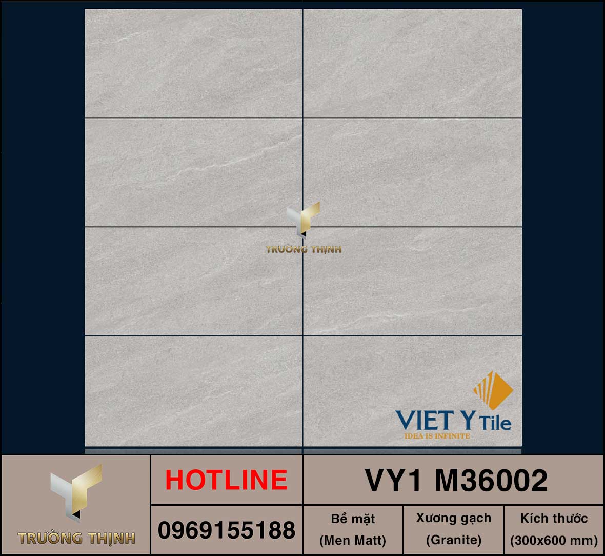 Gạch ốp lát 300x600 Việt Ý VY1 M36002