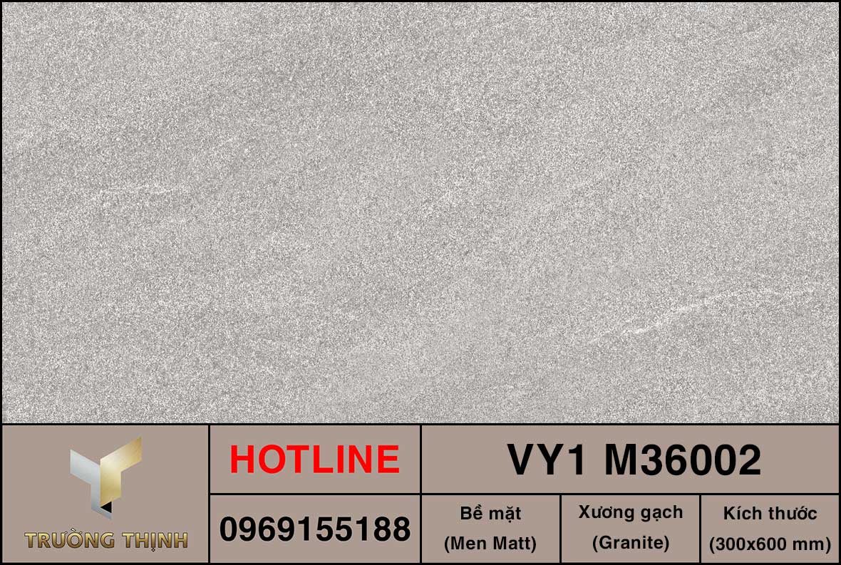 Gạch ốp lát 300x600 Việt Ý VY1 M36002