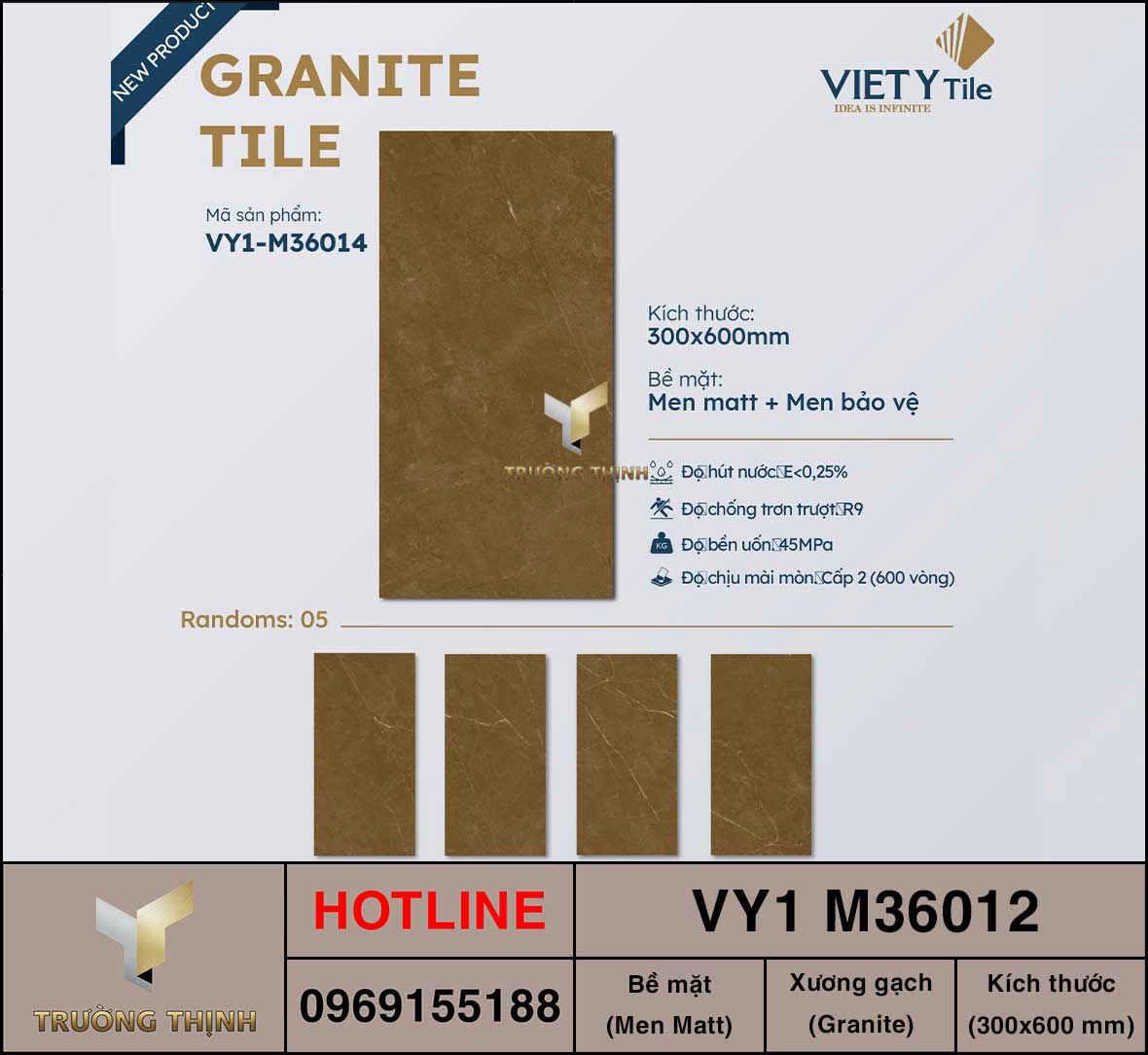 Gạch ốp lát 300x600 Việt Ý VY1 M36012
