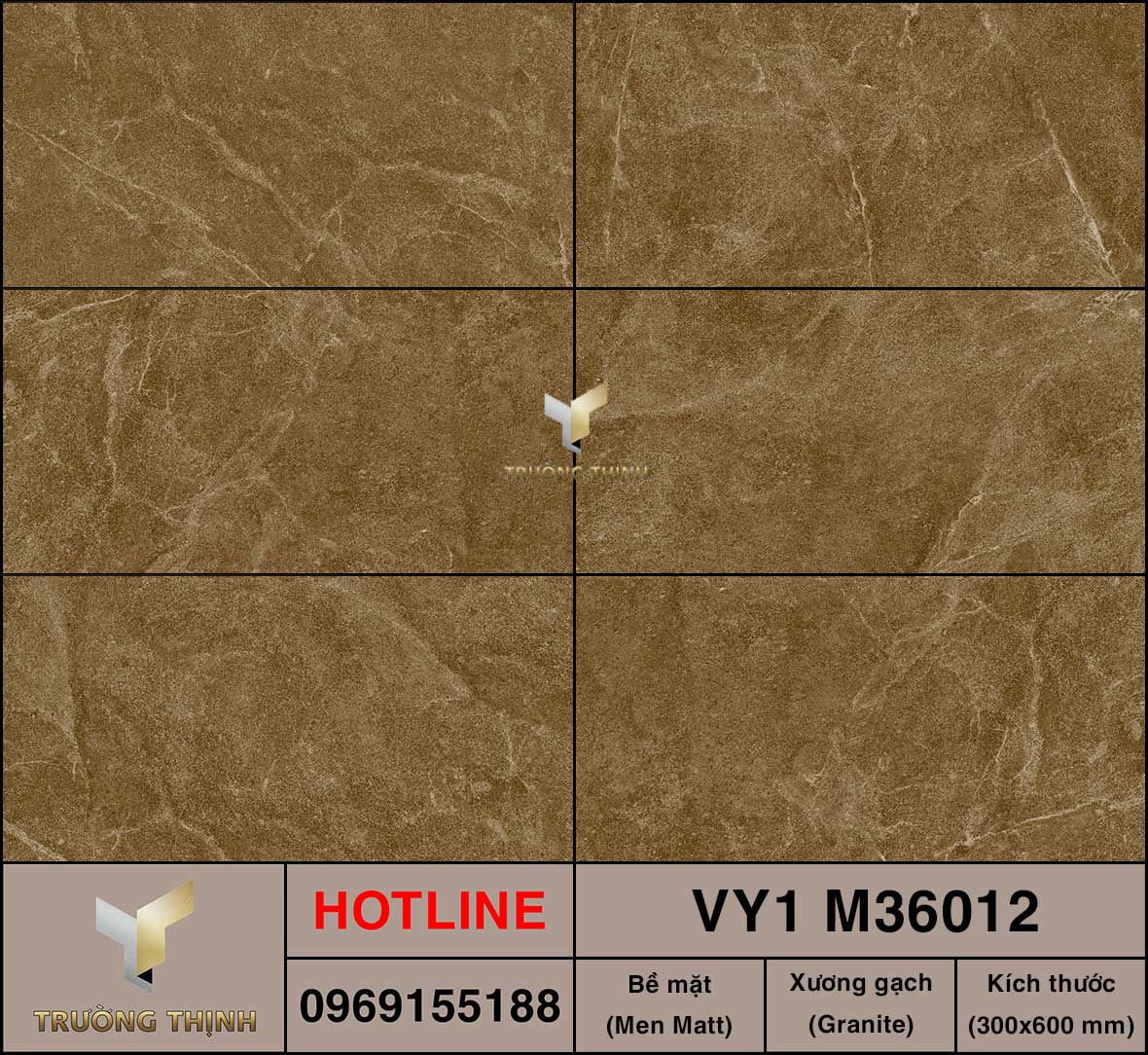 Gạch ốp lát 300x600 Việt Ý VY1 M36012