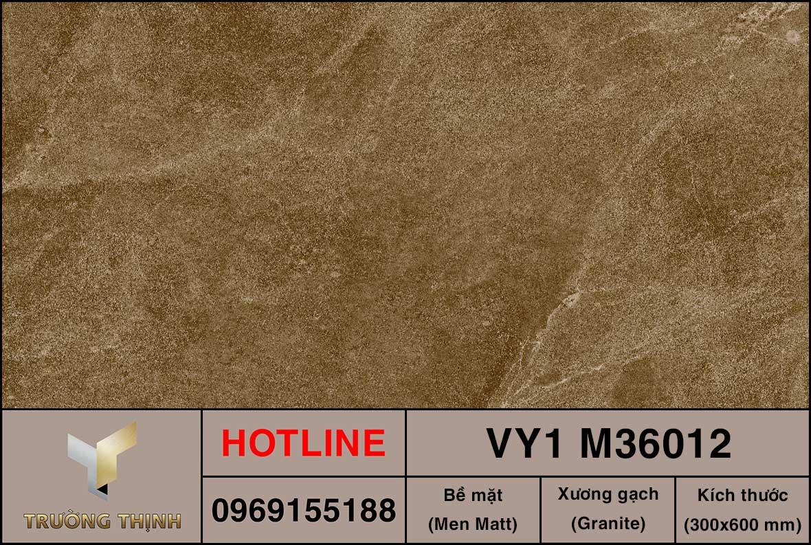 Gạch ốp lát 300x600 Việt Ý VY1 M36012