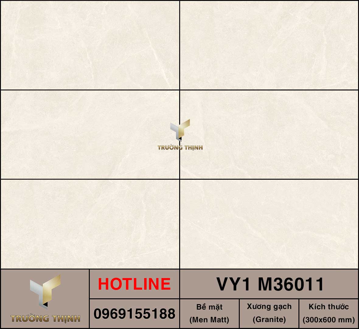 Gạch ốp lát 300x600 Việt Ý VY1 M36011