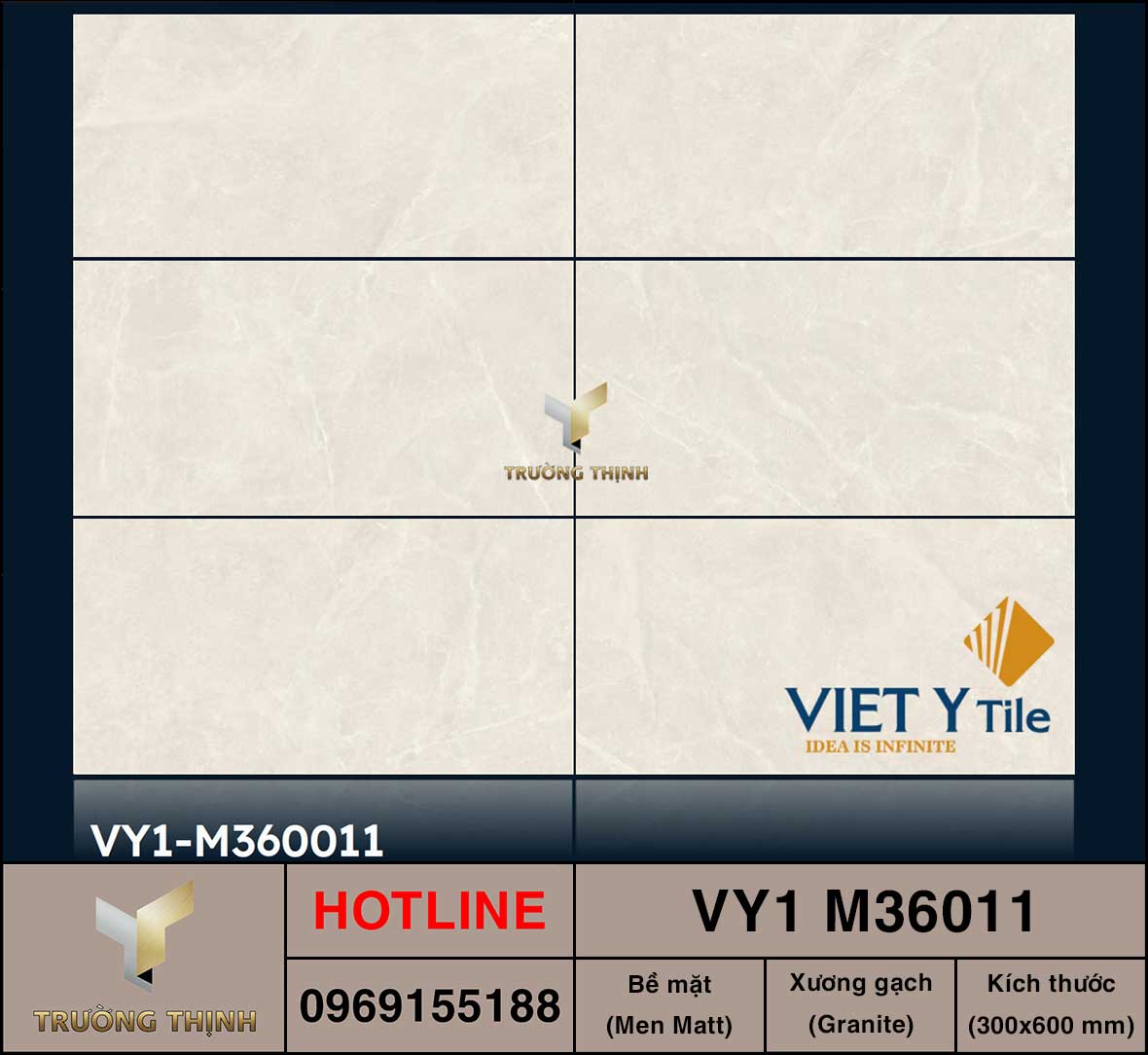 Gạch ốp lát 300x600 Việt Ý VY1 M36011