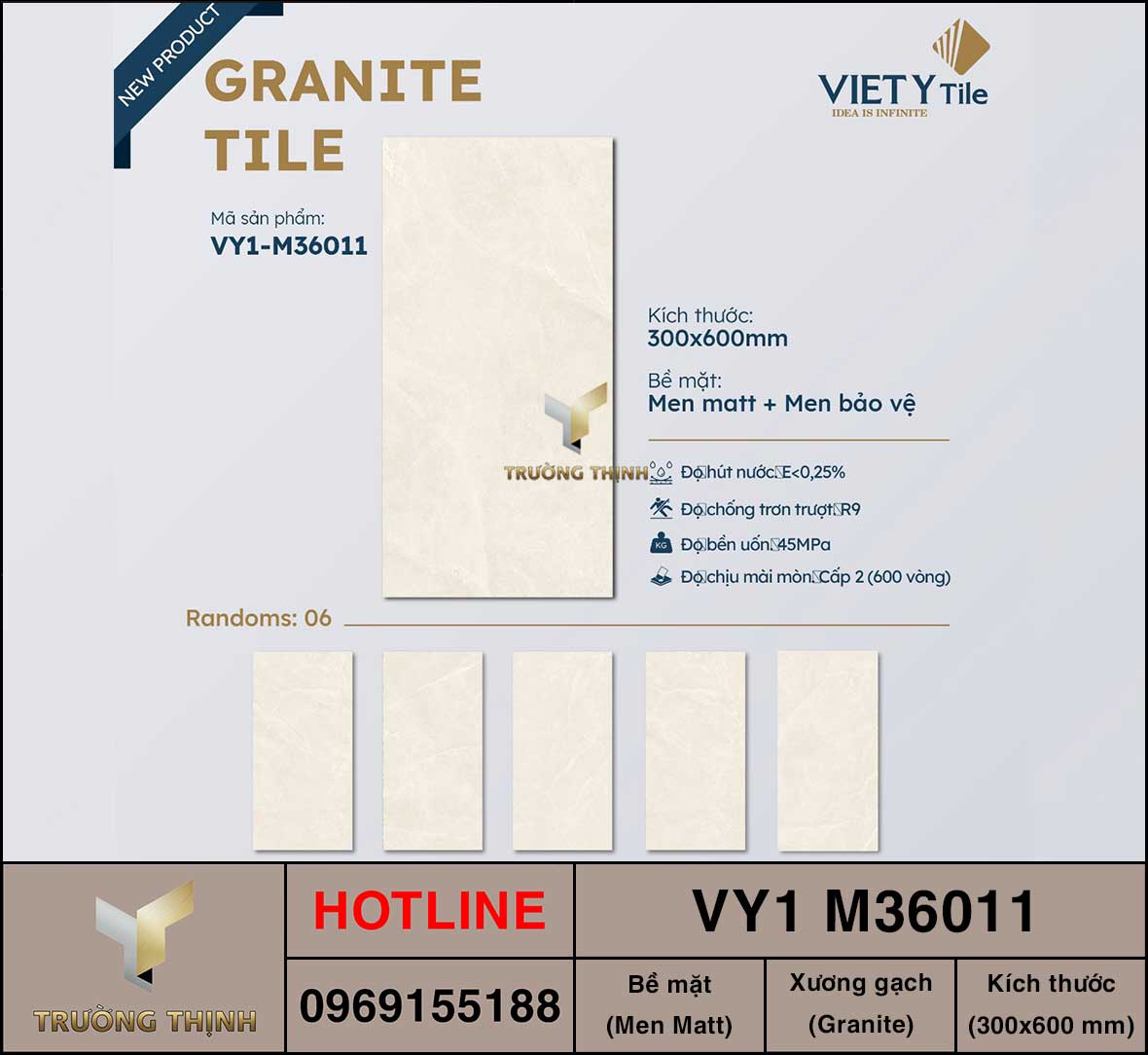 Gạch ốp lát 300x600 Việt Ý VY1 M36011