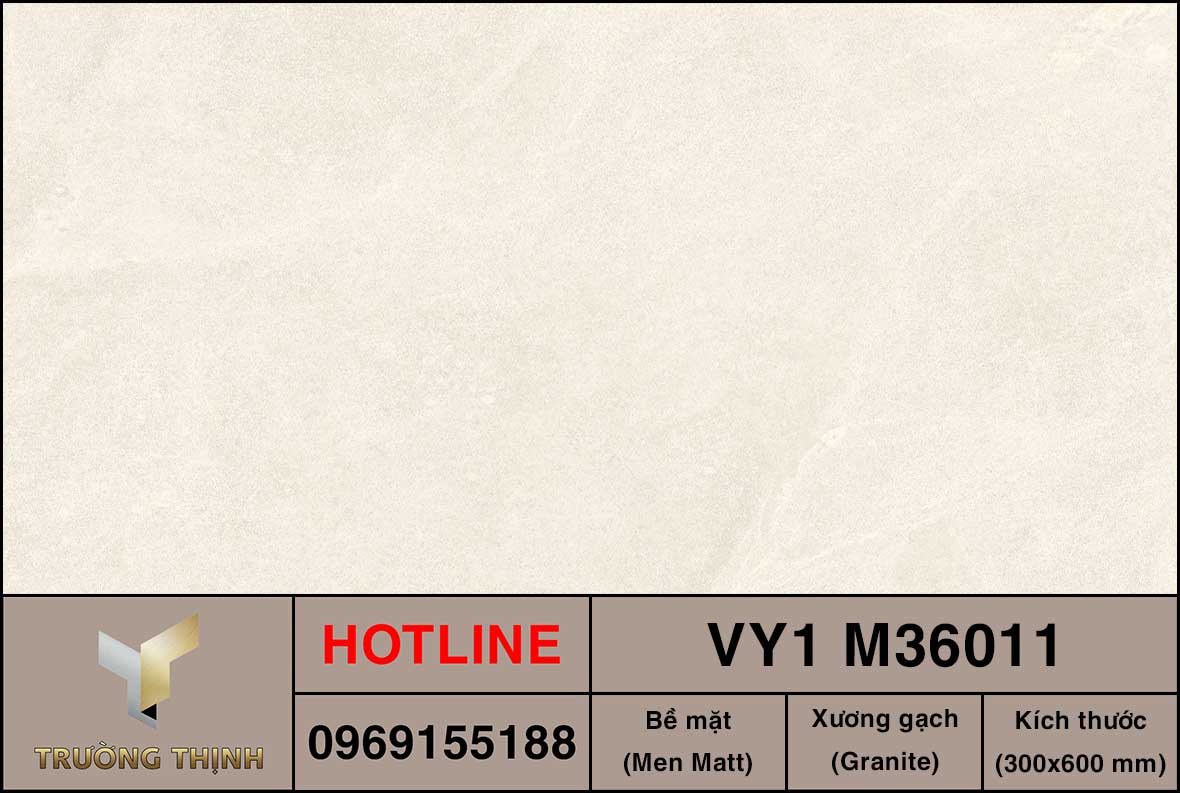 Gạch ốp lát 300x600 Việt Ý VY1 M36011