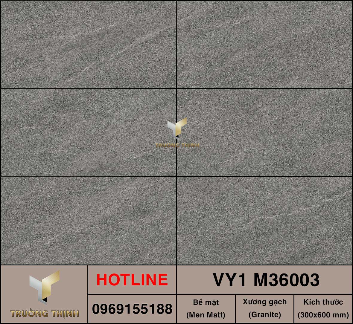 Gạch ốp lát 300x600 Việt Ý VY1 M36003