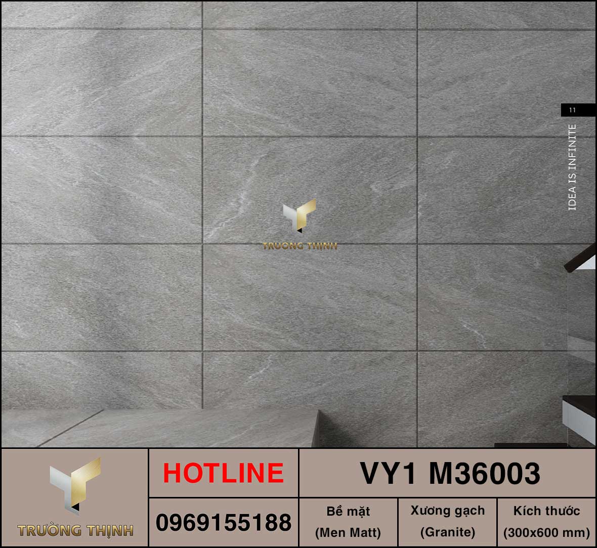 Gạch ốp lát 300x600 Việt Ý VY1 M36002