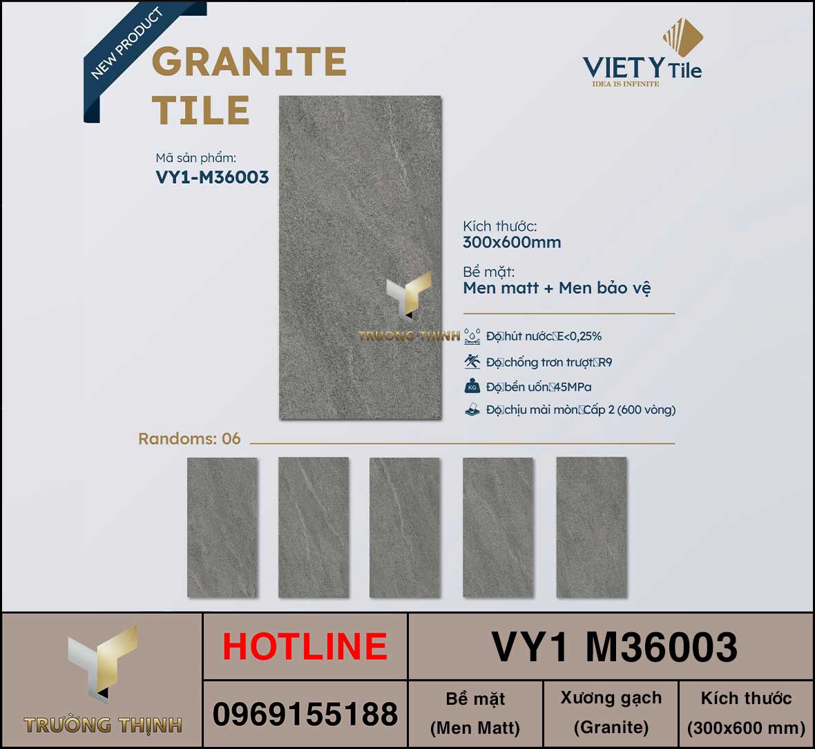 Gạch ốp lát 300x600 Việt Ý VY1 M36003