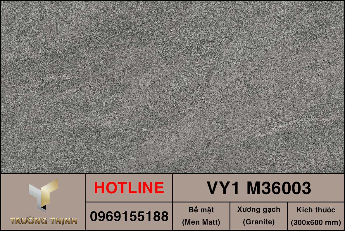 Gạch ốp lát 300x600 Việt Ý VY1 M36003