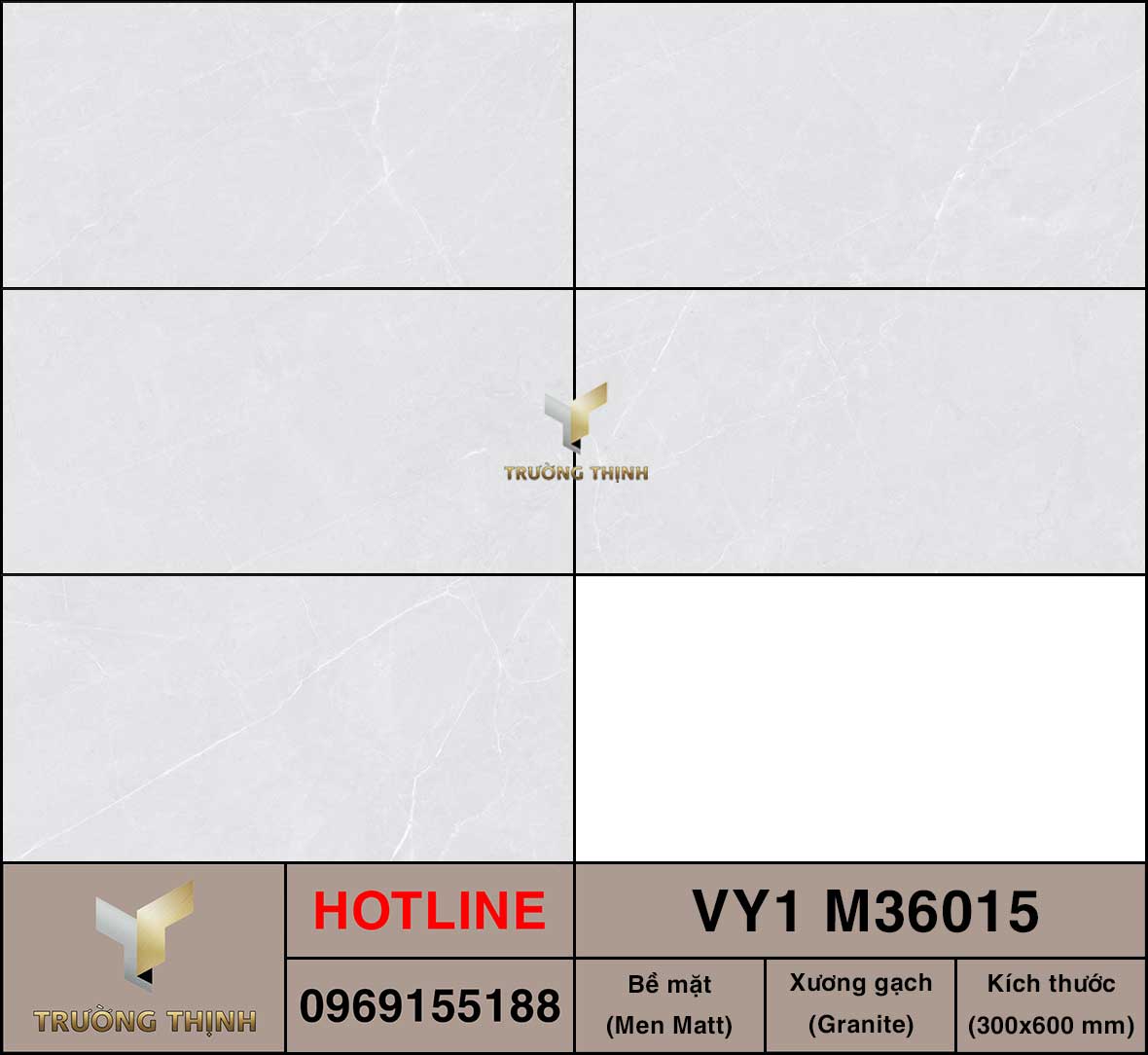 Gạch ốp lát 300x600 Việt Ý VY1 M36015