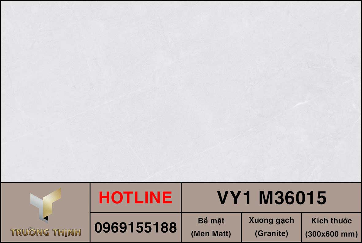 Gạch ốp lát 300x600 Việt Ý VY1 M36015