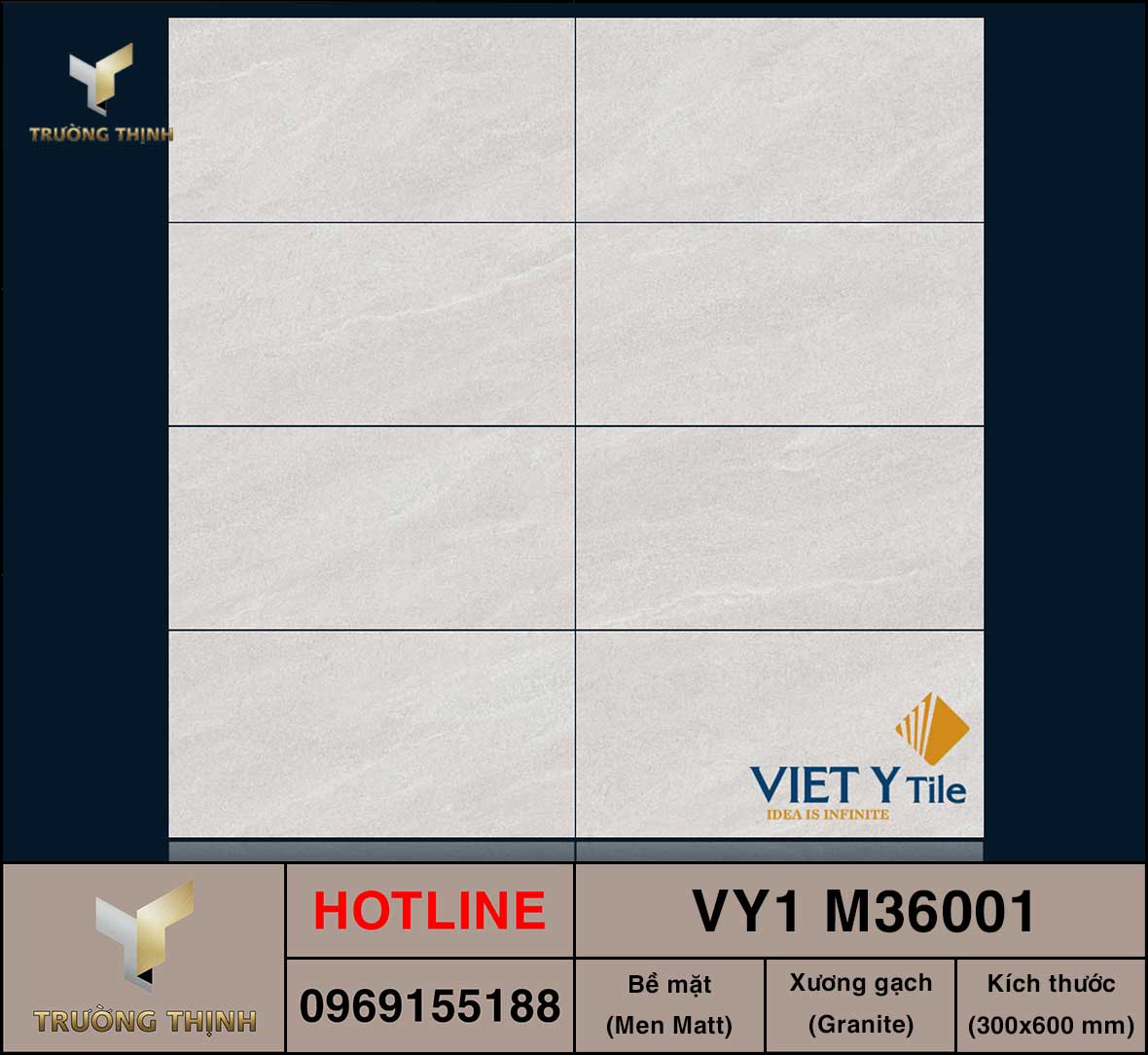 Gạch ốp lát 300x600 Việt Ý VY1 M36001