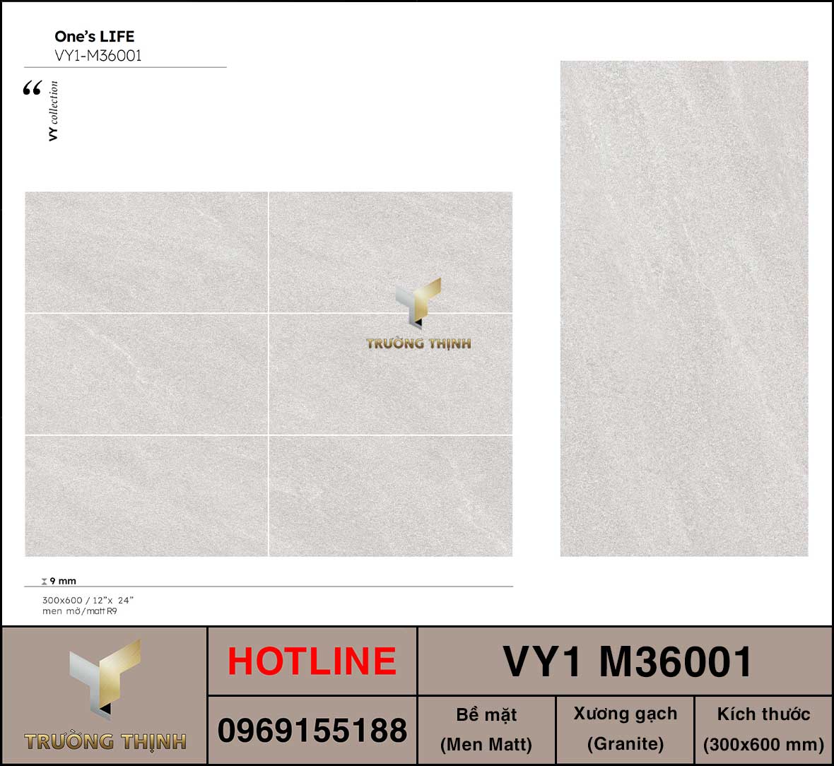 Gạch ốp lát 300x600 Việt Ý VY1 M36001