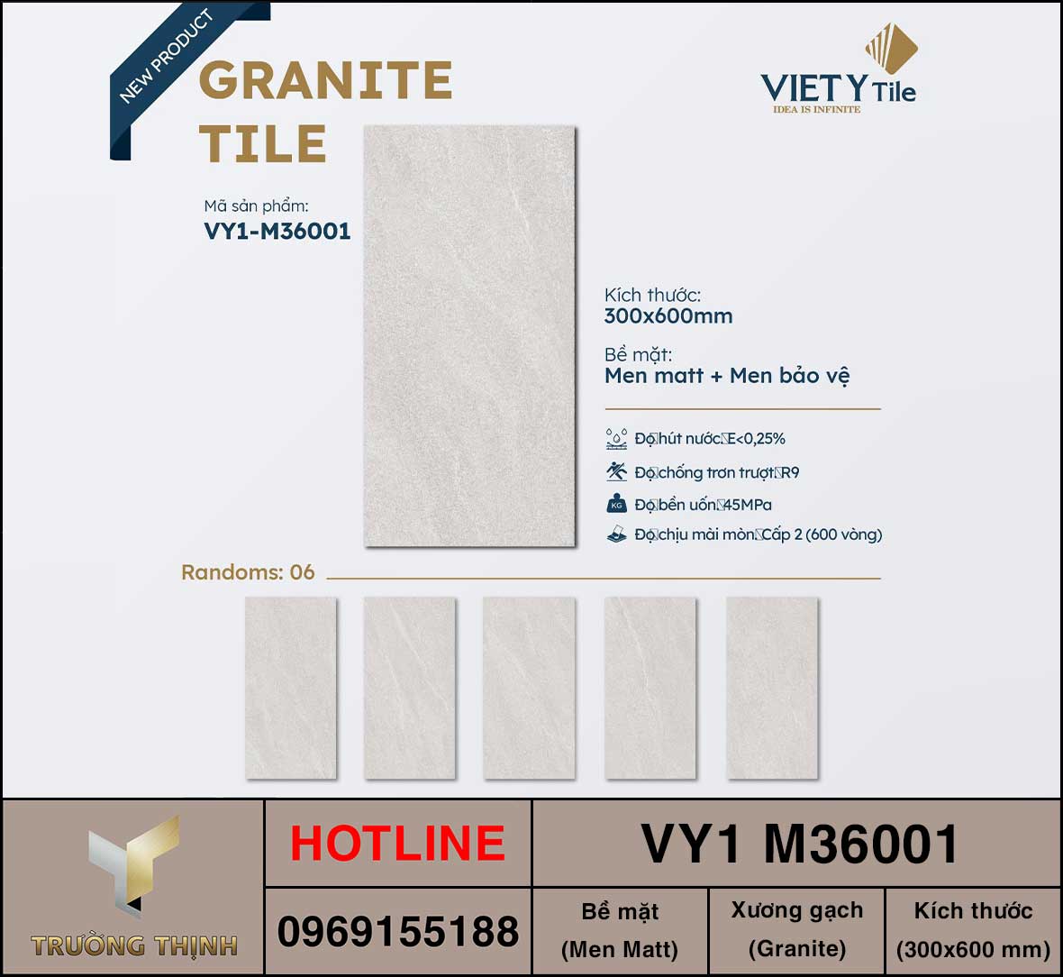 Gạch ốp lát 300x600 Việt Ý VY1 M36001
