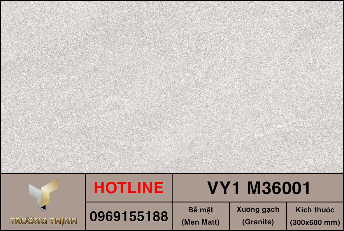 Gạch ốp lát 300x600 Việt Ý VY1 M36001