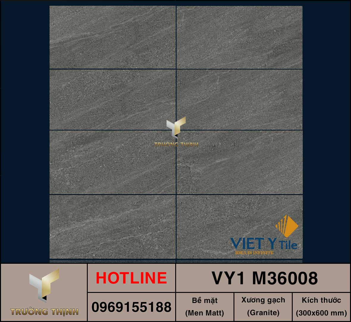 Gạch ốp lát 300x600 Việt Ý VY1 M36008