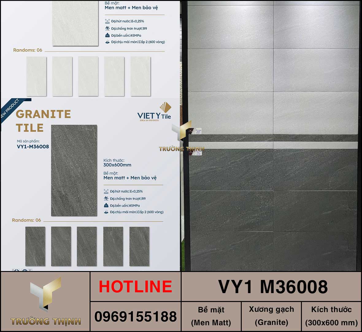 Gạch ốp lát 300x600 Việt Ý VY1 M36008