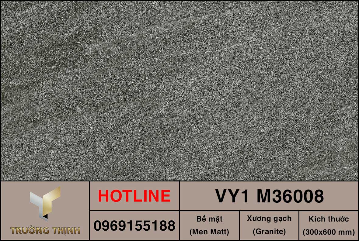 Gạch ốp lát 300x600 Việt Ý VY1 M36008