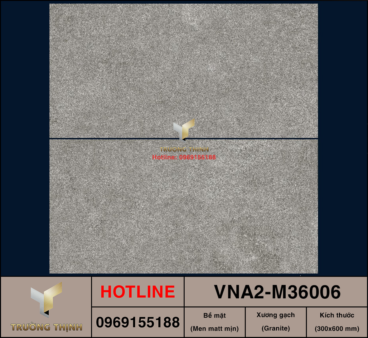 VNA2-M36006