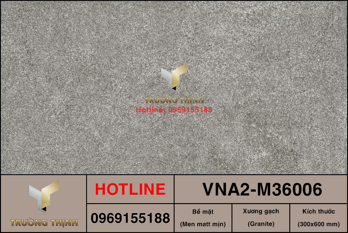 VNA2-M36006