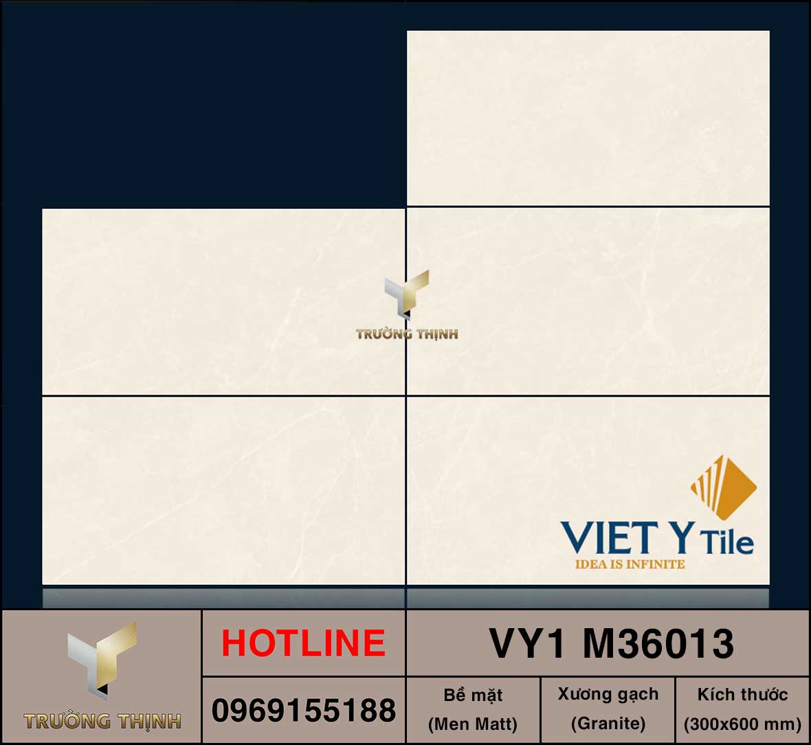 Gạch ốp lát 300x600 Việt Ý VY1 M36013