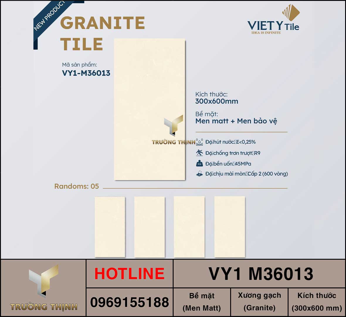 Gạch ốp lát 300x600 Việt Ý VY1 M36013
