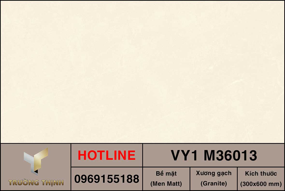 Gạch ốp lát 300x600 Việt Ý VY1 M36013
