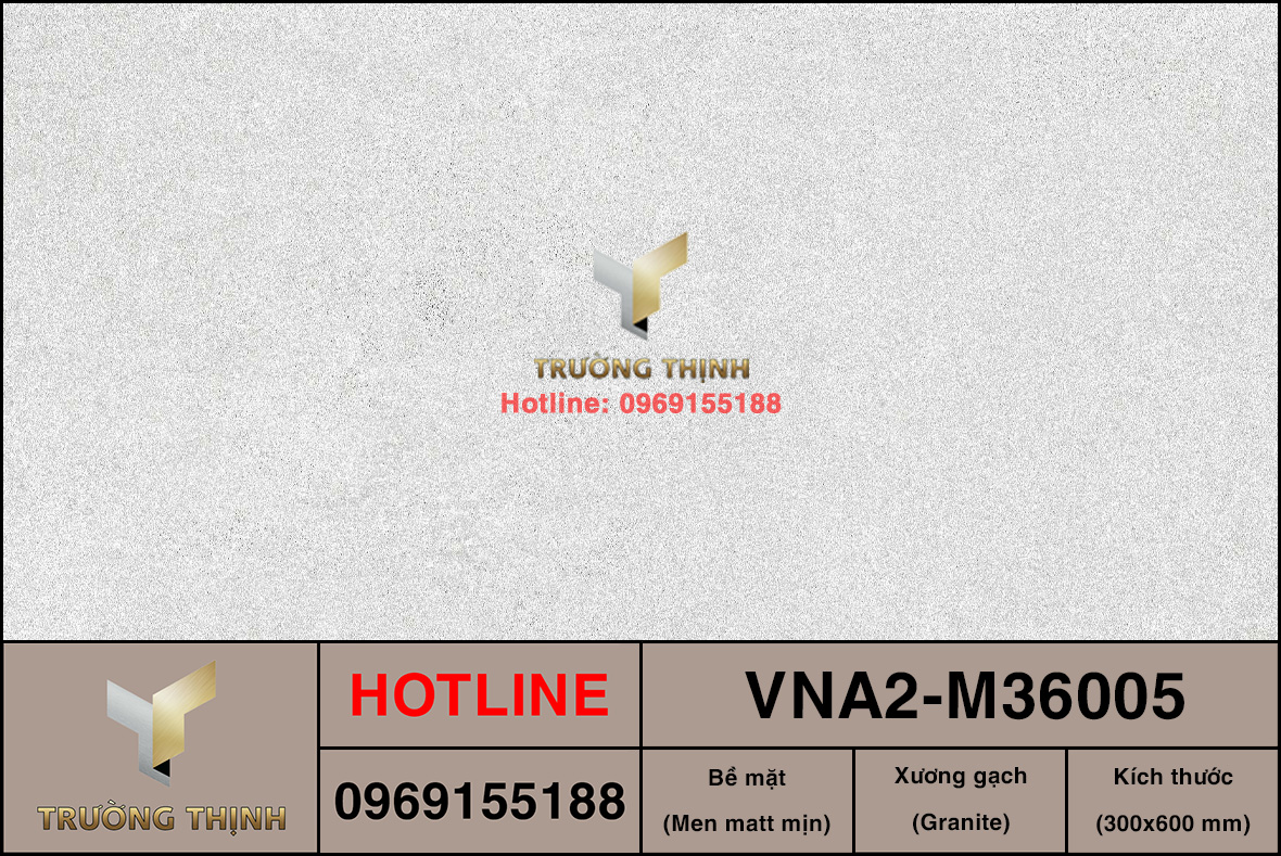 VNA2-M36005