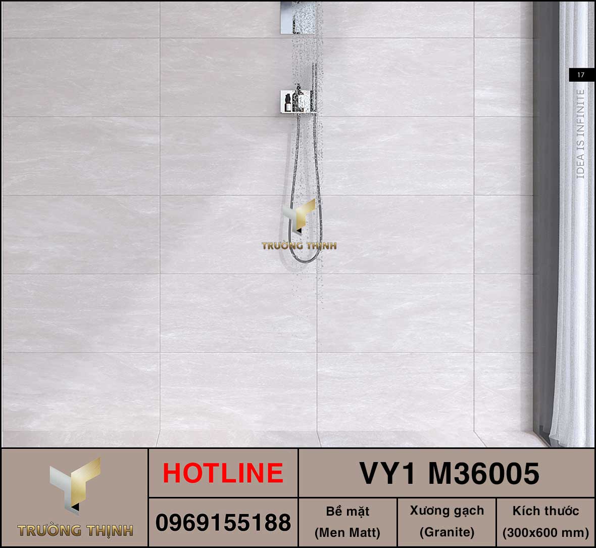 Gạch ốp lát 300x600 Việt Ý VY1 M36005