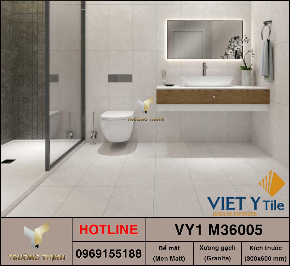 Gạch ốp lát 300x600 Việt Ý VY1 M36005