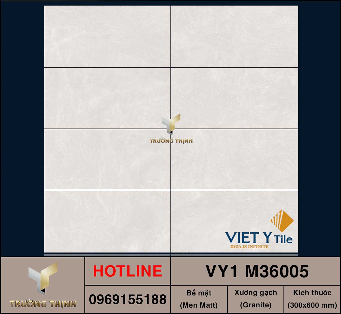 Gạch ốp lát 300x600 Việt Ý VY1 M36005
