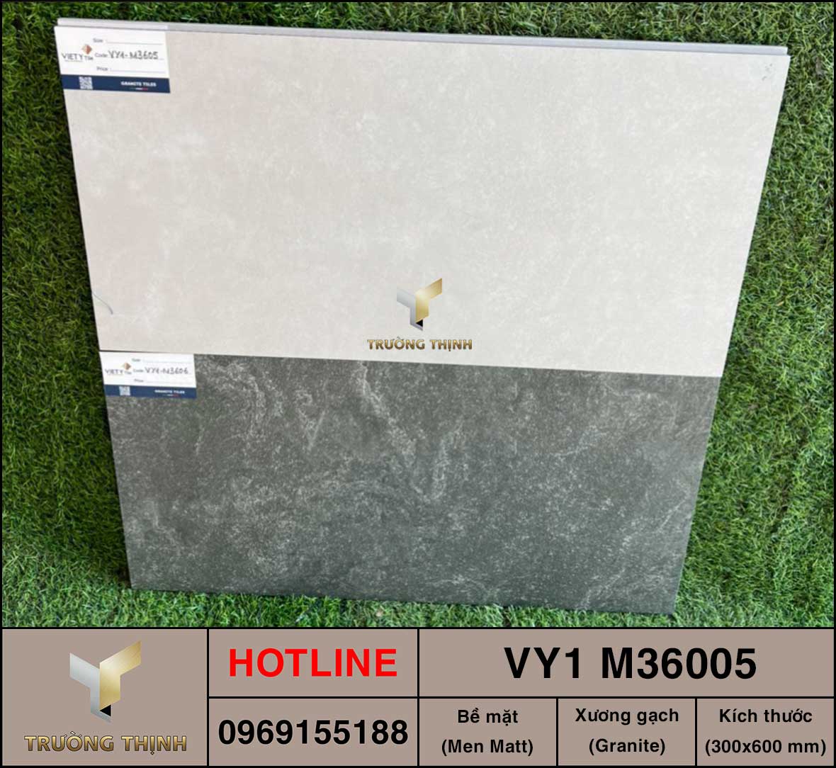 Gạch ốp lát 300x600 Việt Ý VY1 M36005